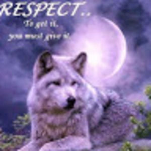 Meet your Posher, Roy